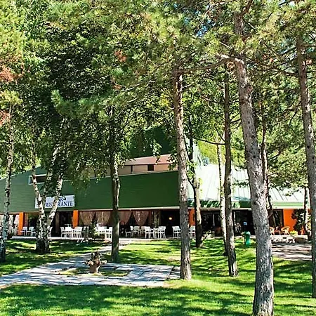 Hotel Carnia 3*