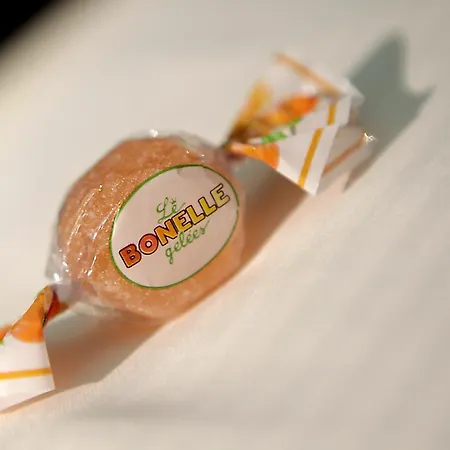 Carnia Hotel Venzone